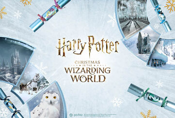 Christmas in the Wizarding World / Se utvalget