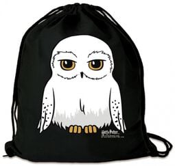 Figura Acryl® de Harry Potter y Hedwig - Licencia Oficial Figura Acryl® de Harry Potter y Hedwig - Licencia Oficial