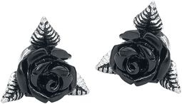 Black Rose Ear Studs, Alchemy Gothic, Sett med øredobber