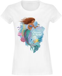 Curious and Kind, Den lille havfruen, T-skjorte