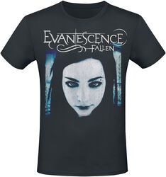 Fallen, Evanescence, T-skjorte