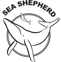 Sertifisering for bærekraft